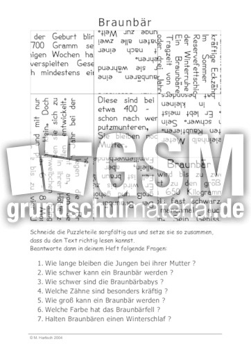 Braunbär.pdf